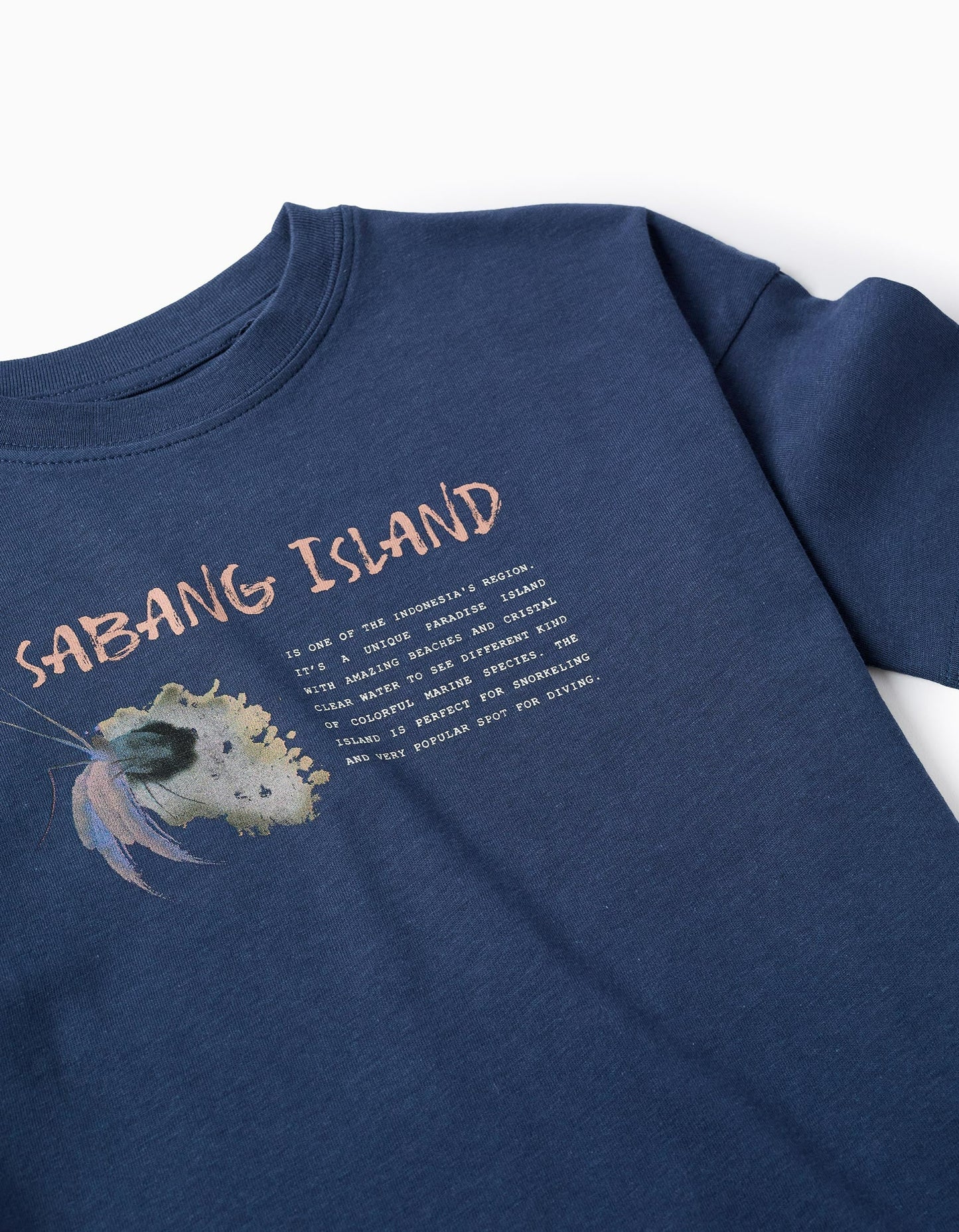 Cotton T-shirt for Boys 'Sabang', Blue