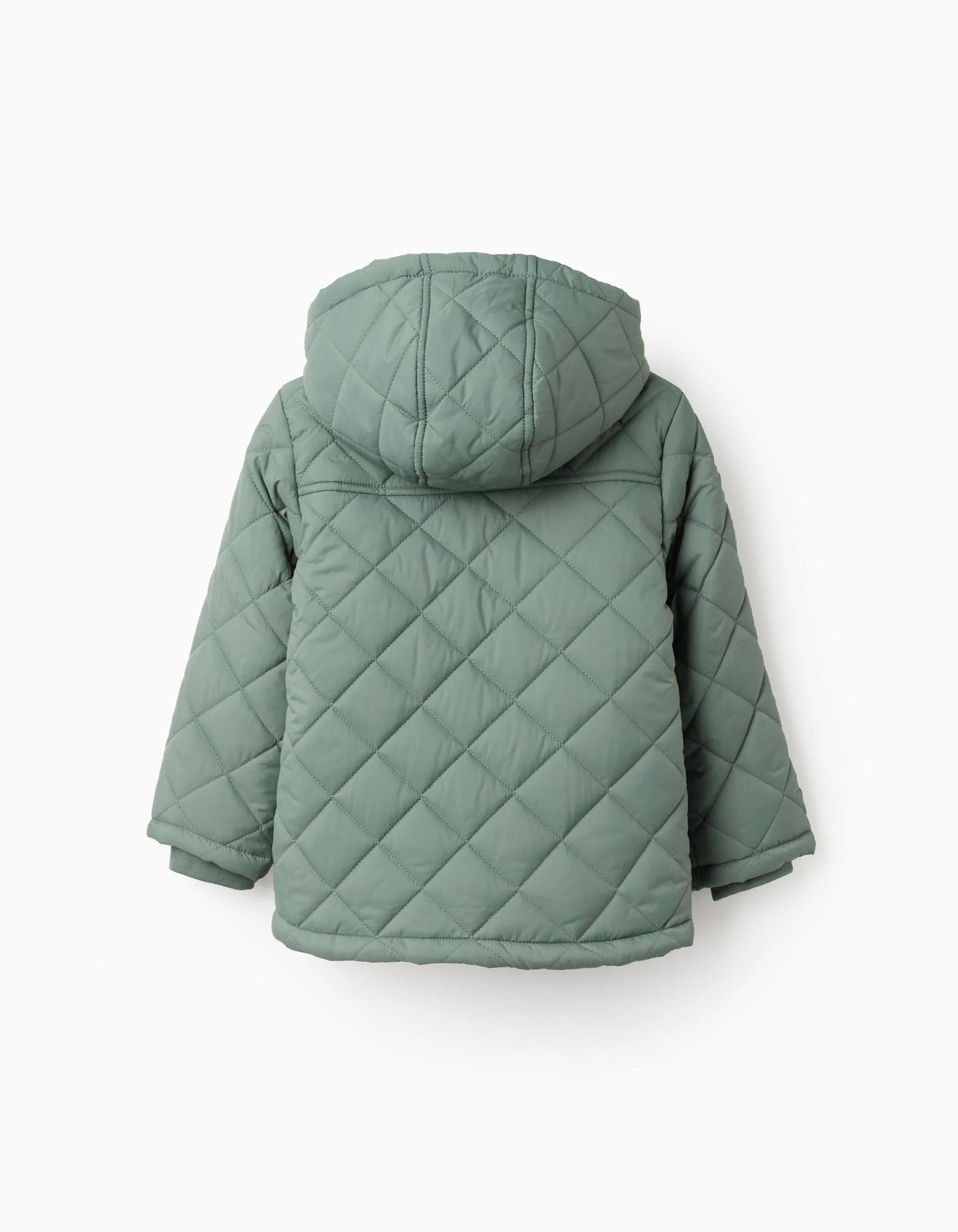 Padded Parka with Removable Hood for Boys, Dark Green