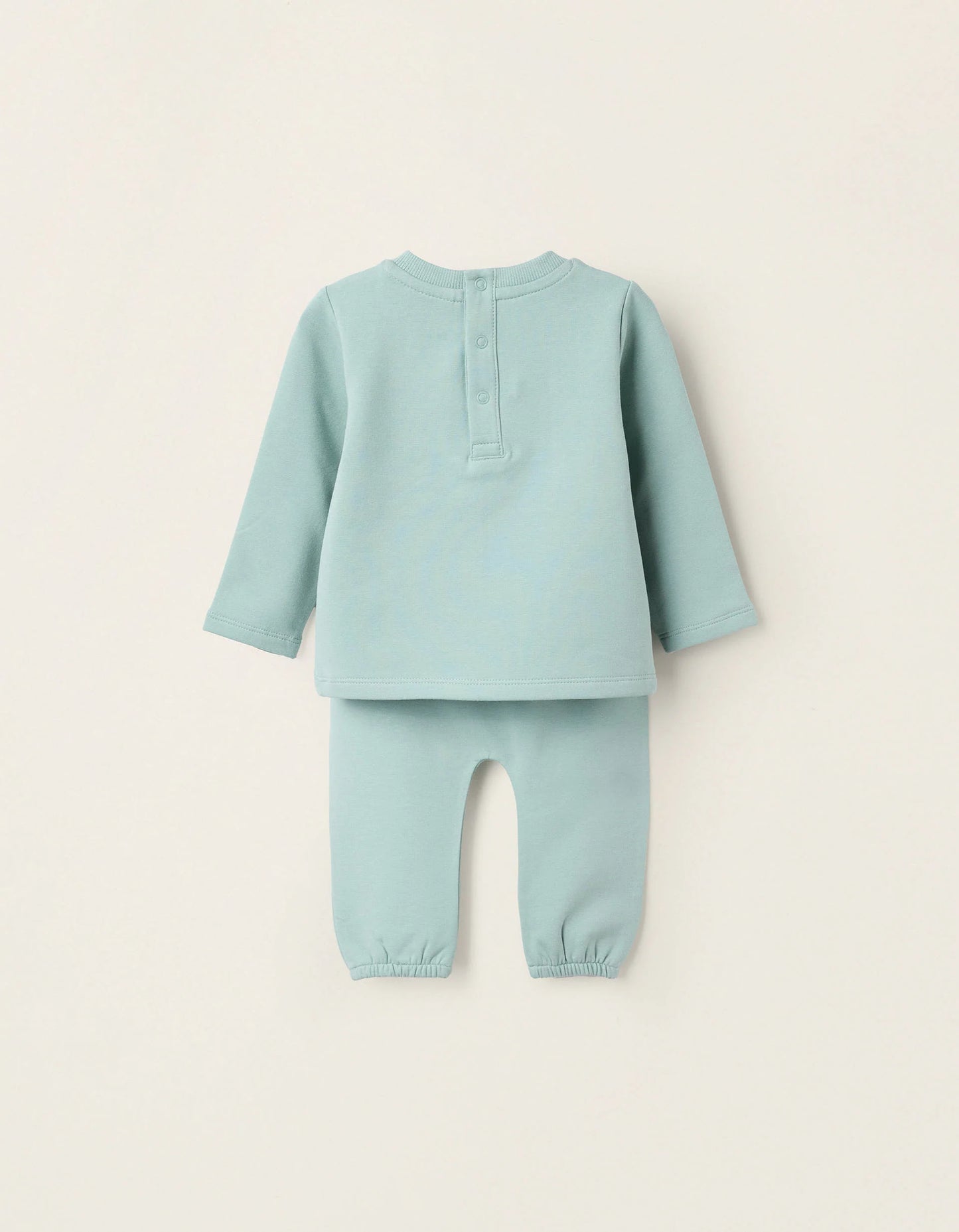 Brushed Sweatshirt + Trousers for Newborns 'Kite', Green