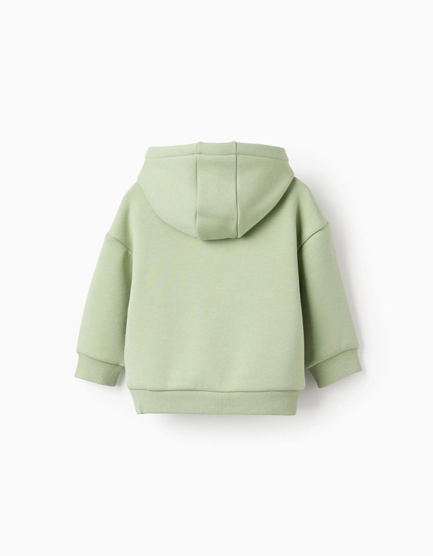 Brushed hooded sweatshirt with fox print for baby boys, light green