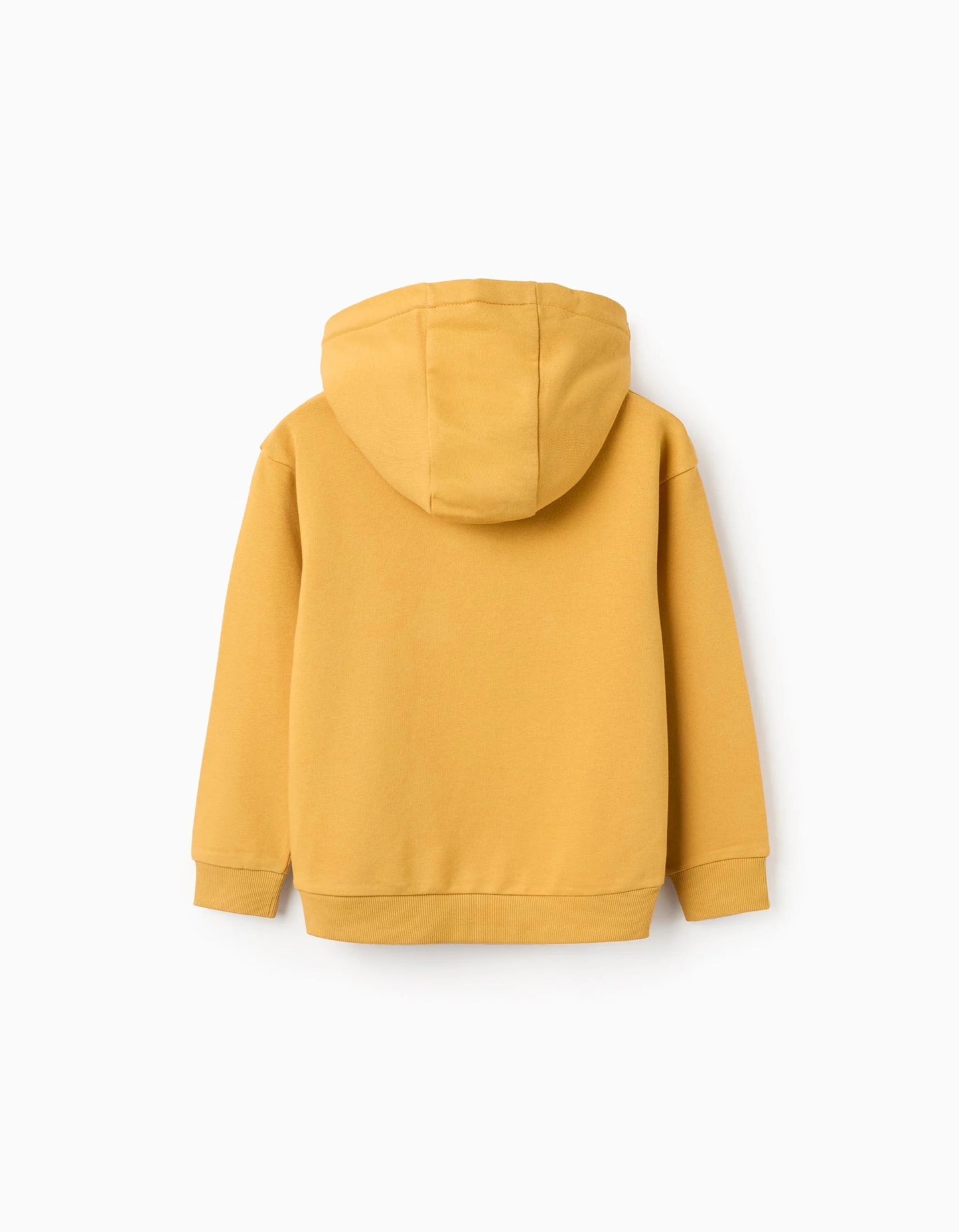 Hooded Sweatshirt with Bouclé for Boys 'ZY Archives', Yellow