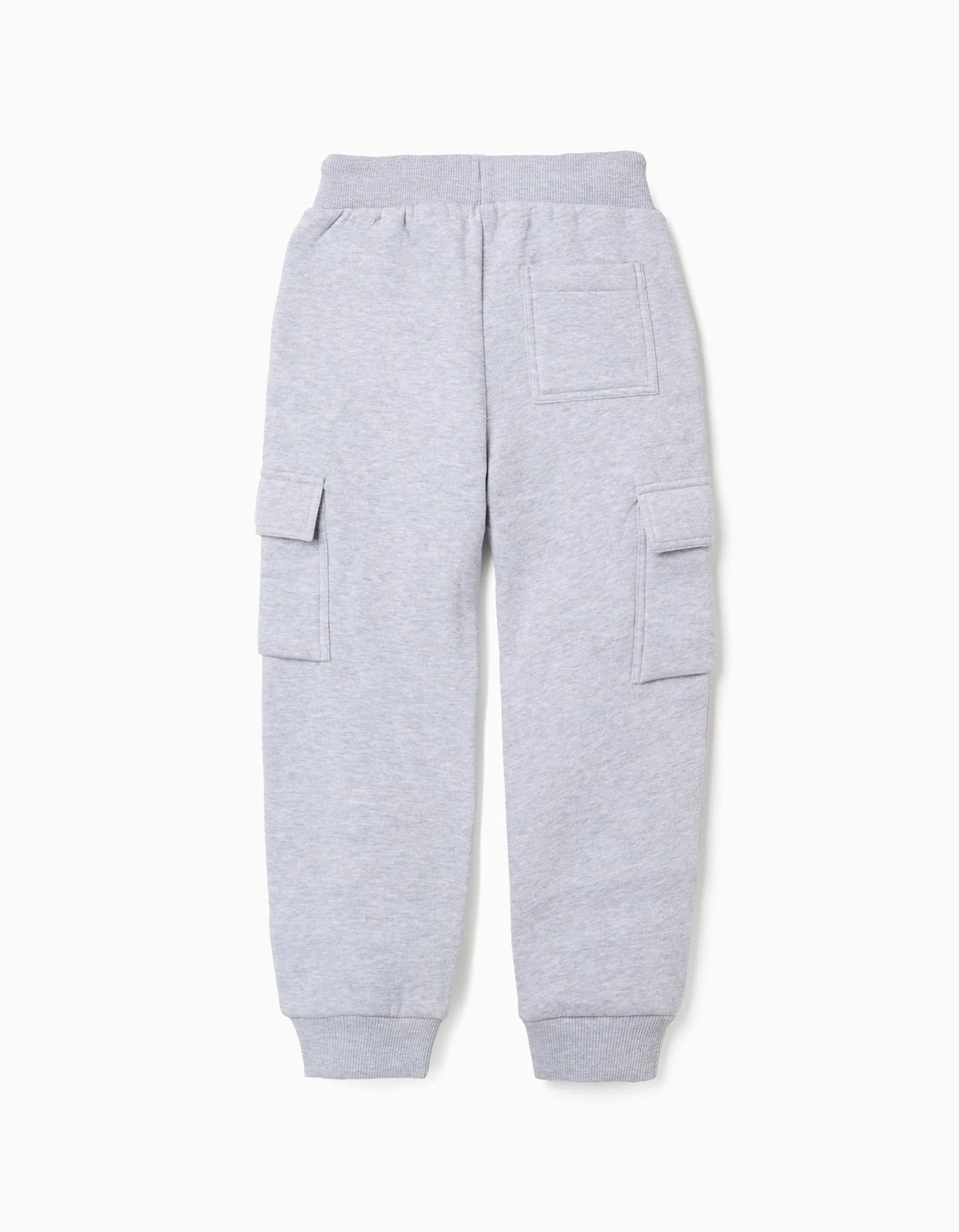 Cargo Joggers with Print for Boys 'North Carolina', Grey