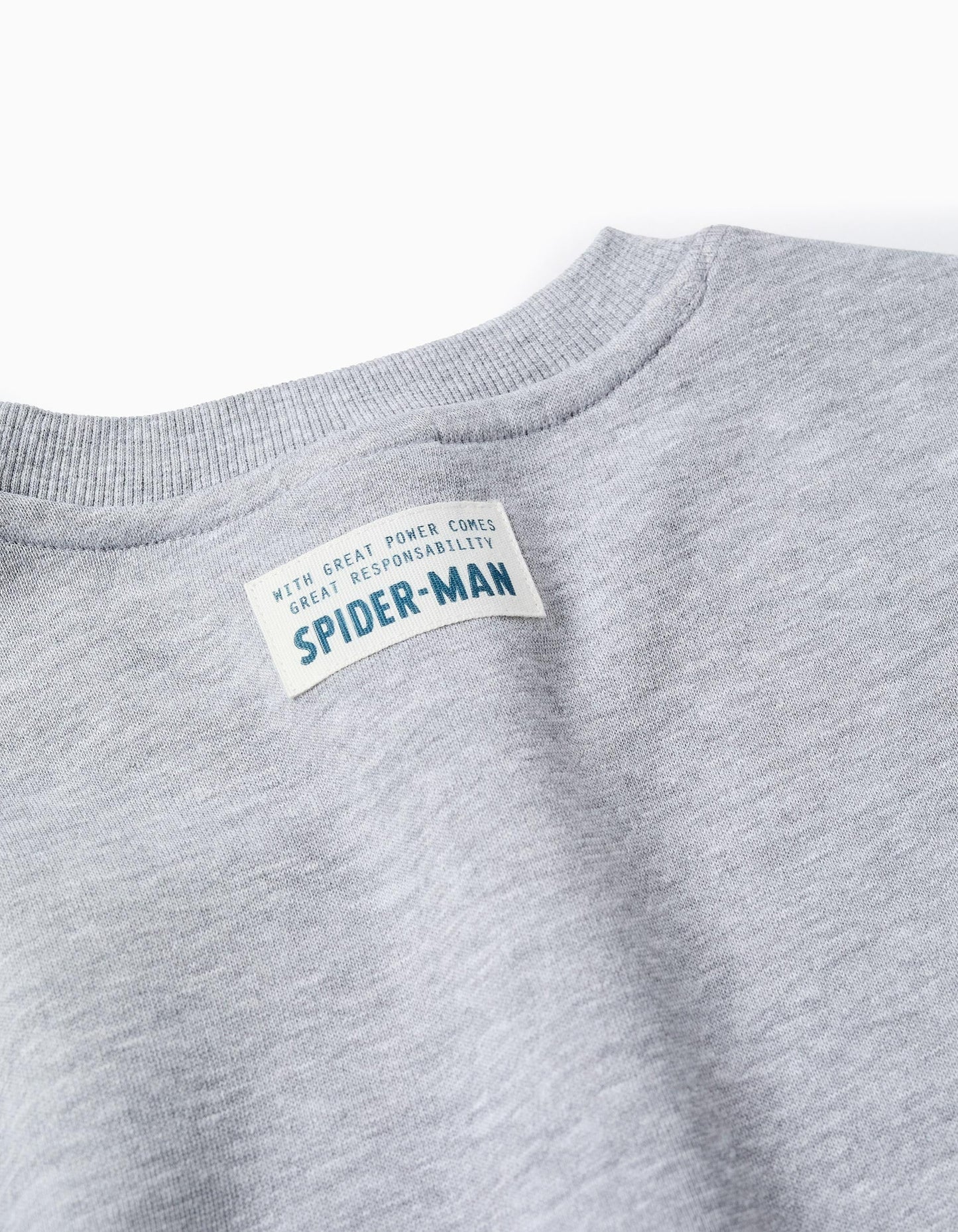 Sweatshirt with Print for Boys 'Spider-Man', Grey