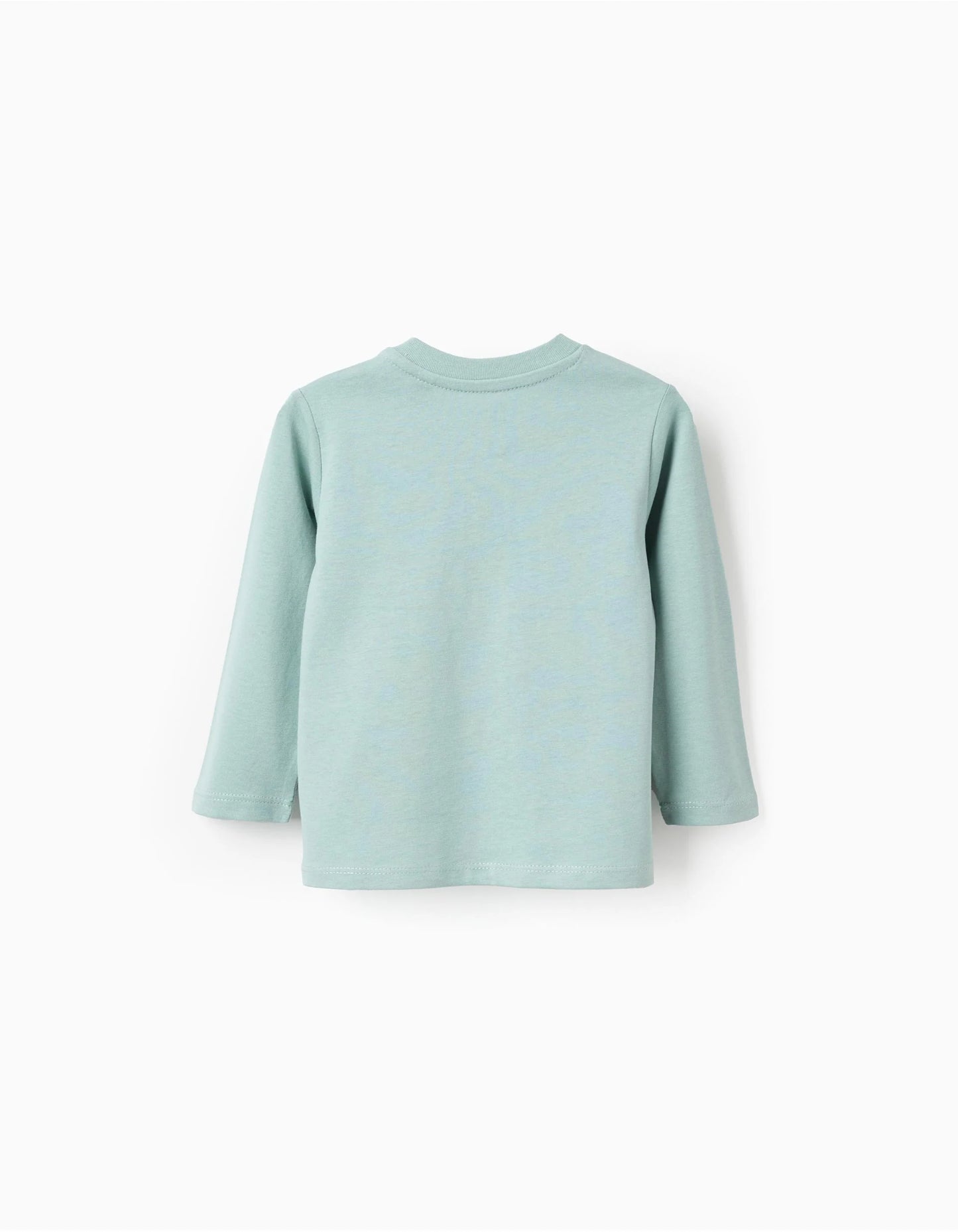 Long Sleeve Cotton T-Shirt for Baby Boys 'Snail', Green