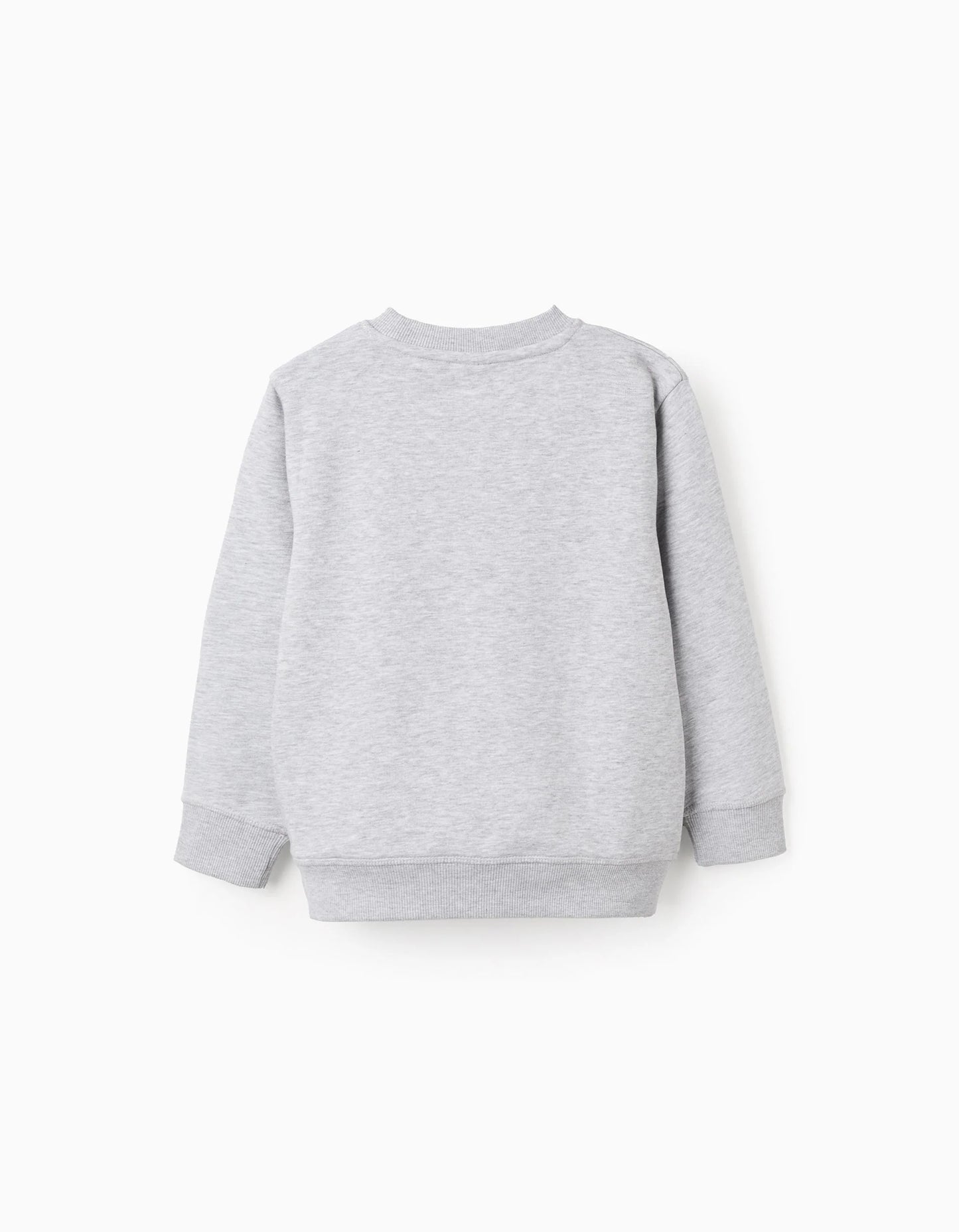 Sweatshirt with Chest Print for Boys 'ZY Archives', Mixed Grey