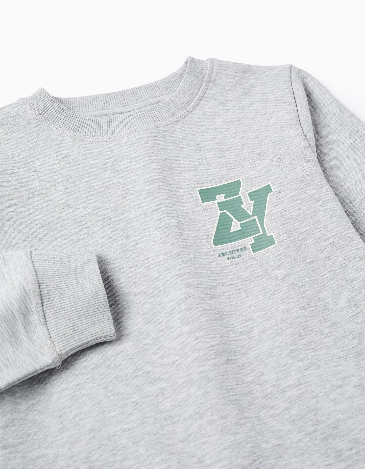 Sweatshirt with Chest Print for Boys 'ZY Archives', Mixed Grey