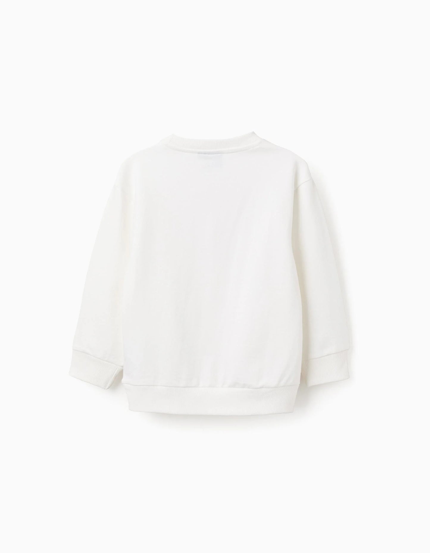 Cotton Sweatshirt for Boys 'Sonic & Friends', White