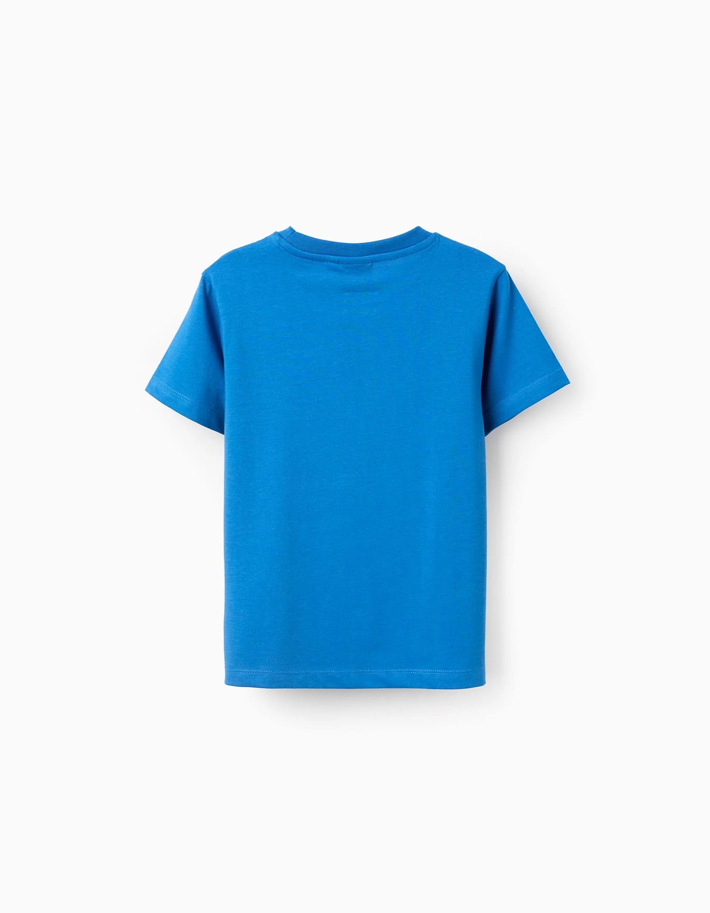 Cotton T-shirt with Print for Boys 'Team Sonic', Blue