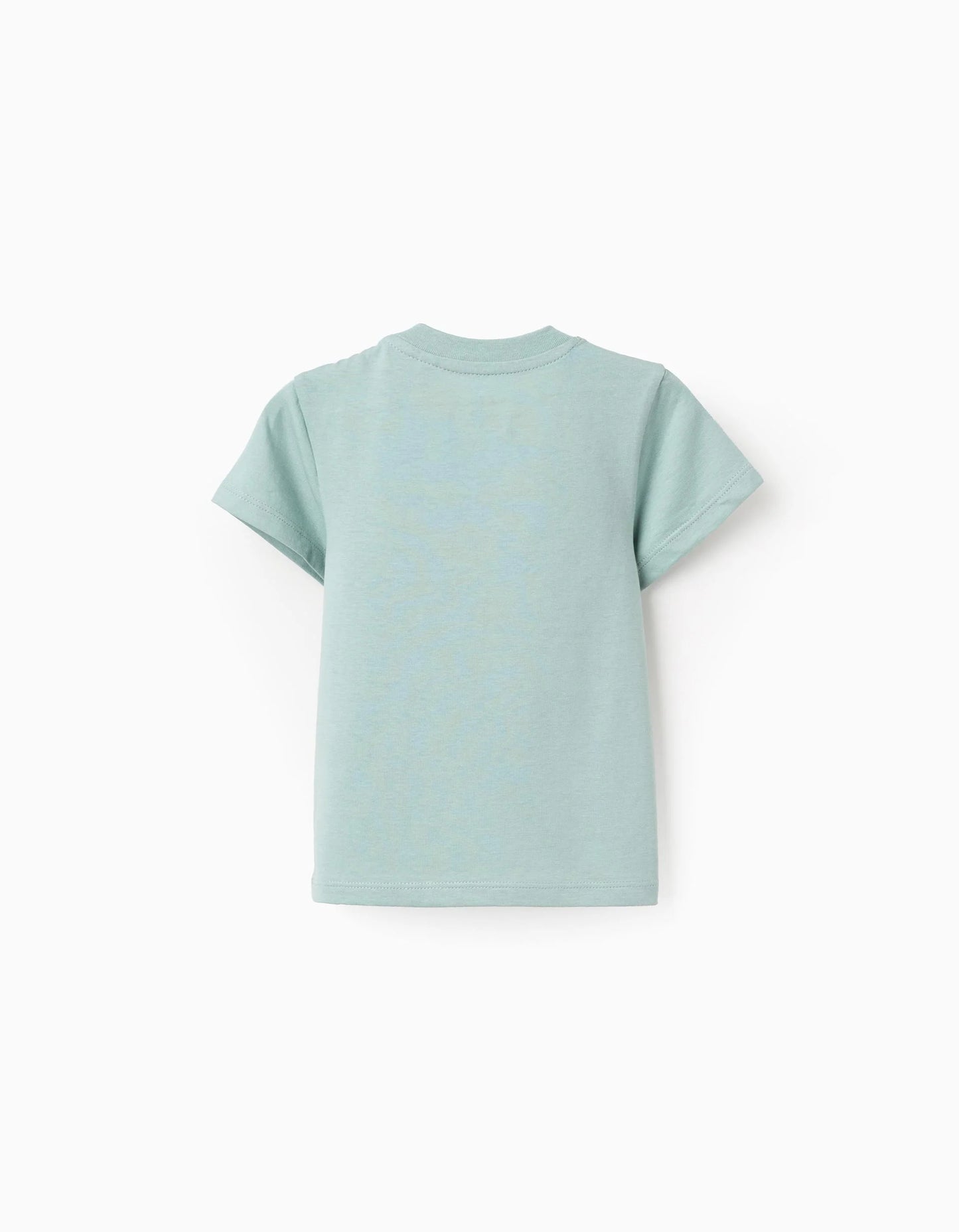 Cotton T-shirt with 'Antsy' Print for Baby Boys, Light Green