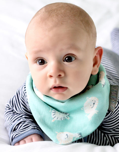 NURSERY Baby Bibs