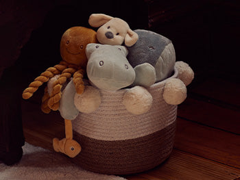 Toys & Play