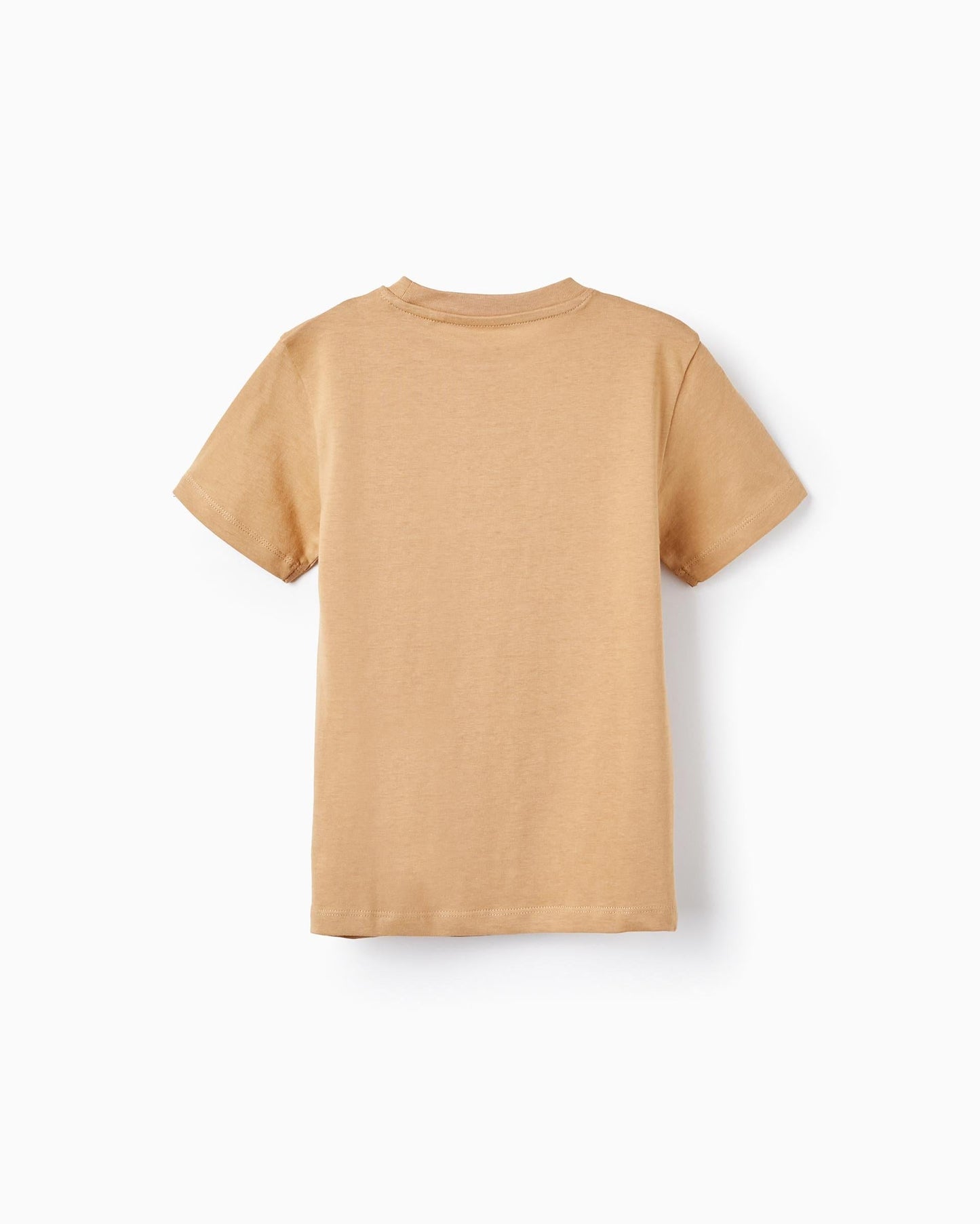 Short Sleeve T-Shirt in Cotton for Boys 'Exposition', Dark Beige