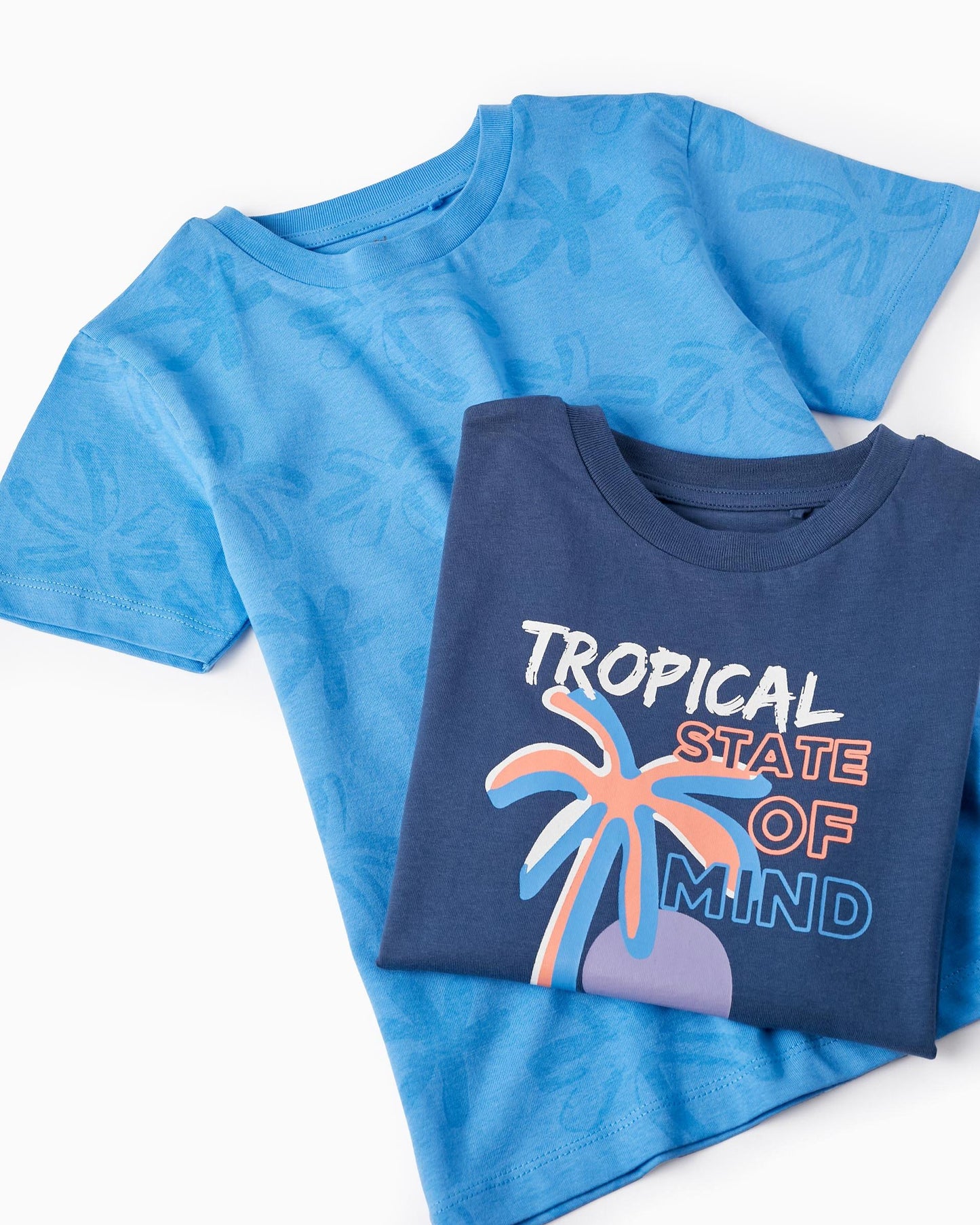 2 Cotton T-shirts for Boys 'Tropical', Blue