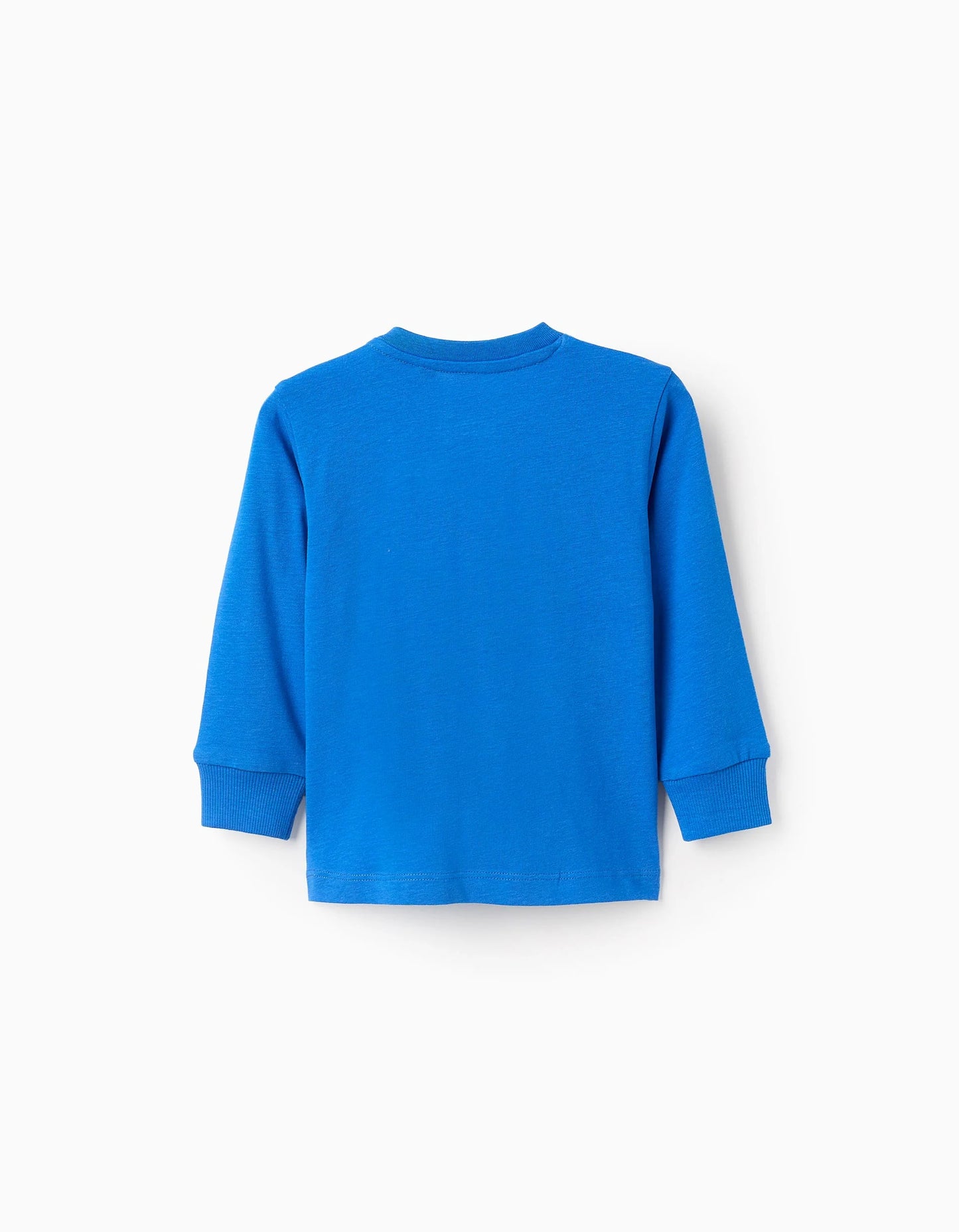 Long Sleeve T-shirt for Baby Boys 'Angry Monster', Blue