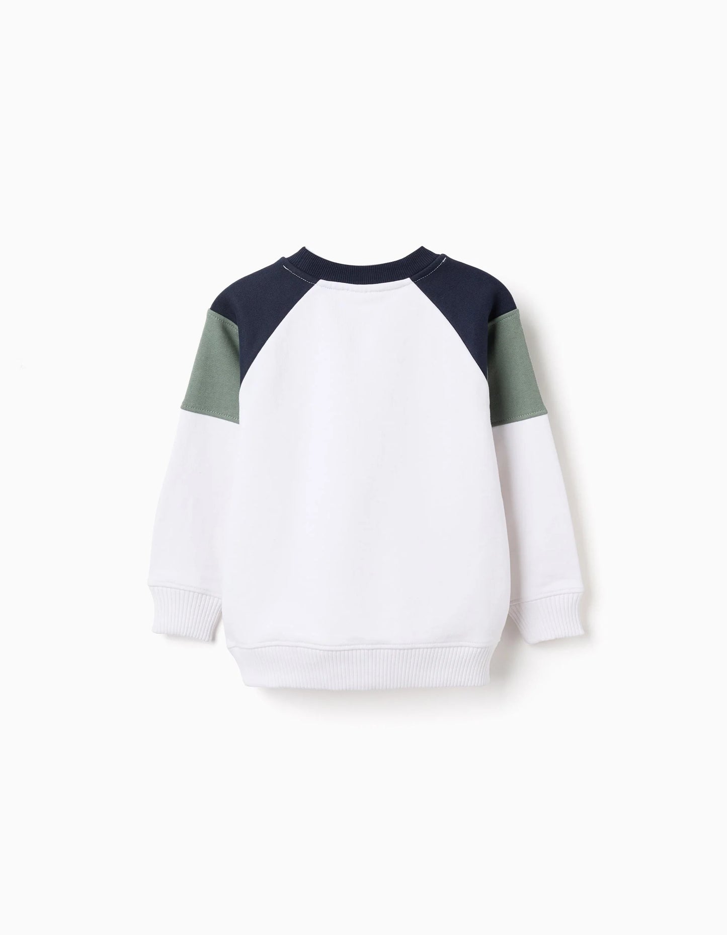 Brushed Sweatshirt with Contrast Sleeves for Boys, Multicolour