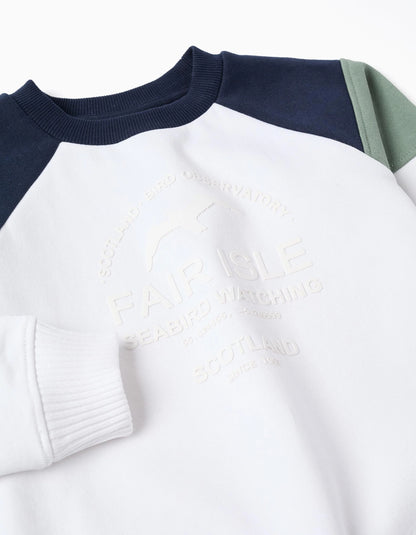Brushed Sweatshirt with Contrast Sleeves for Boys, Multicolour