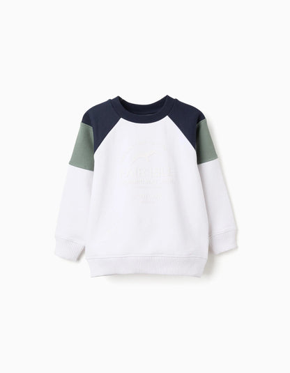 Brushed Sweatshirt with Contrast Sleeves for Boys, Multicolour