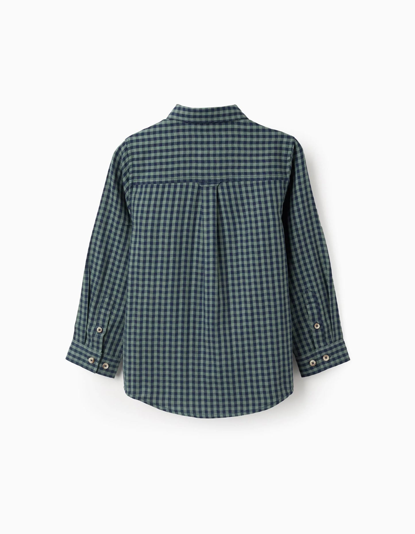 Cotton Shirt with Vichy Pattern for Boys, Green/Blue