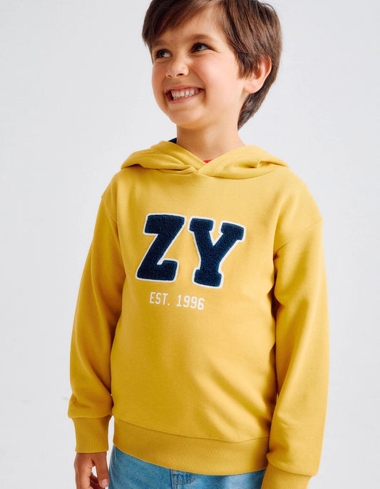 Hooded Sweatshirt with Bouclé for Boys 'ZY Archives', Yellow