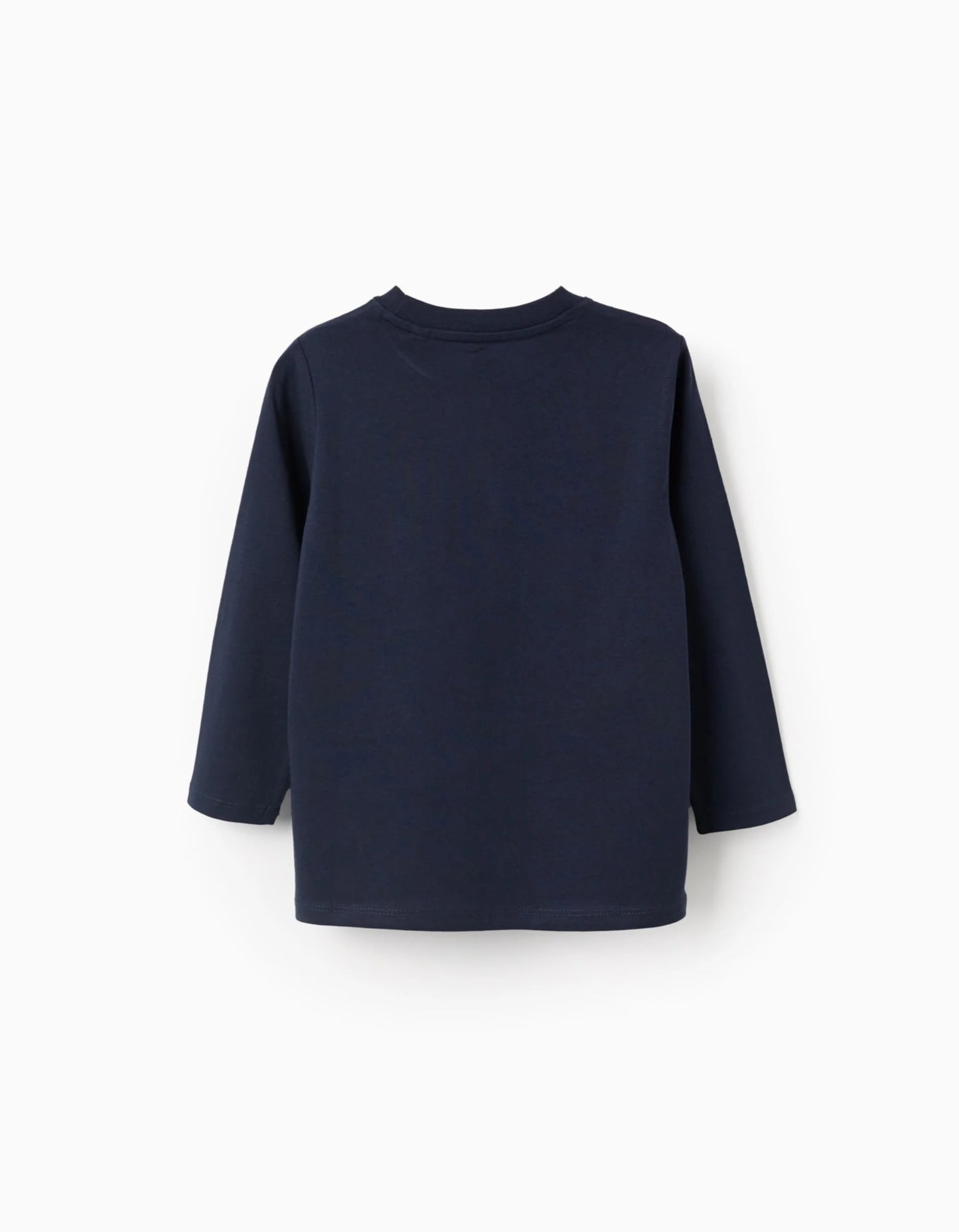 Pack of 2 Long Sleeve T-shirts for Boys 'Stockholm', Green/Blue