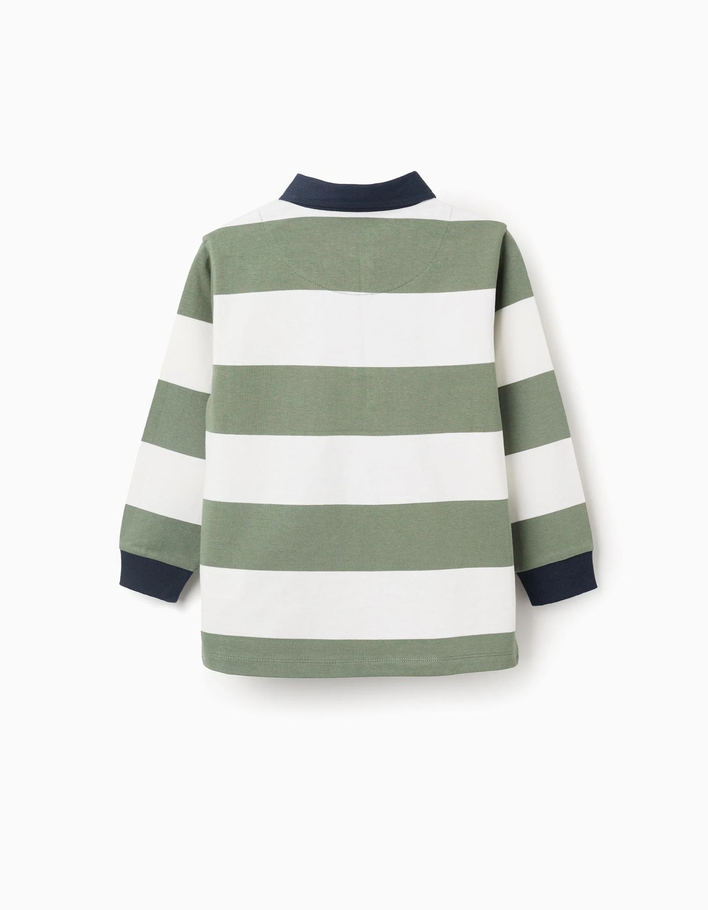 Long Sleeve Cotton Polo Shirt with Stripes for Boys, Green/White/Blue