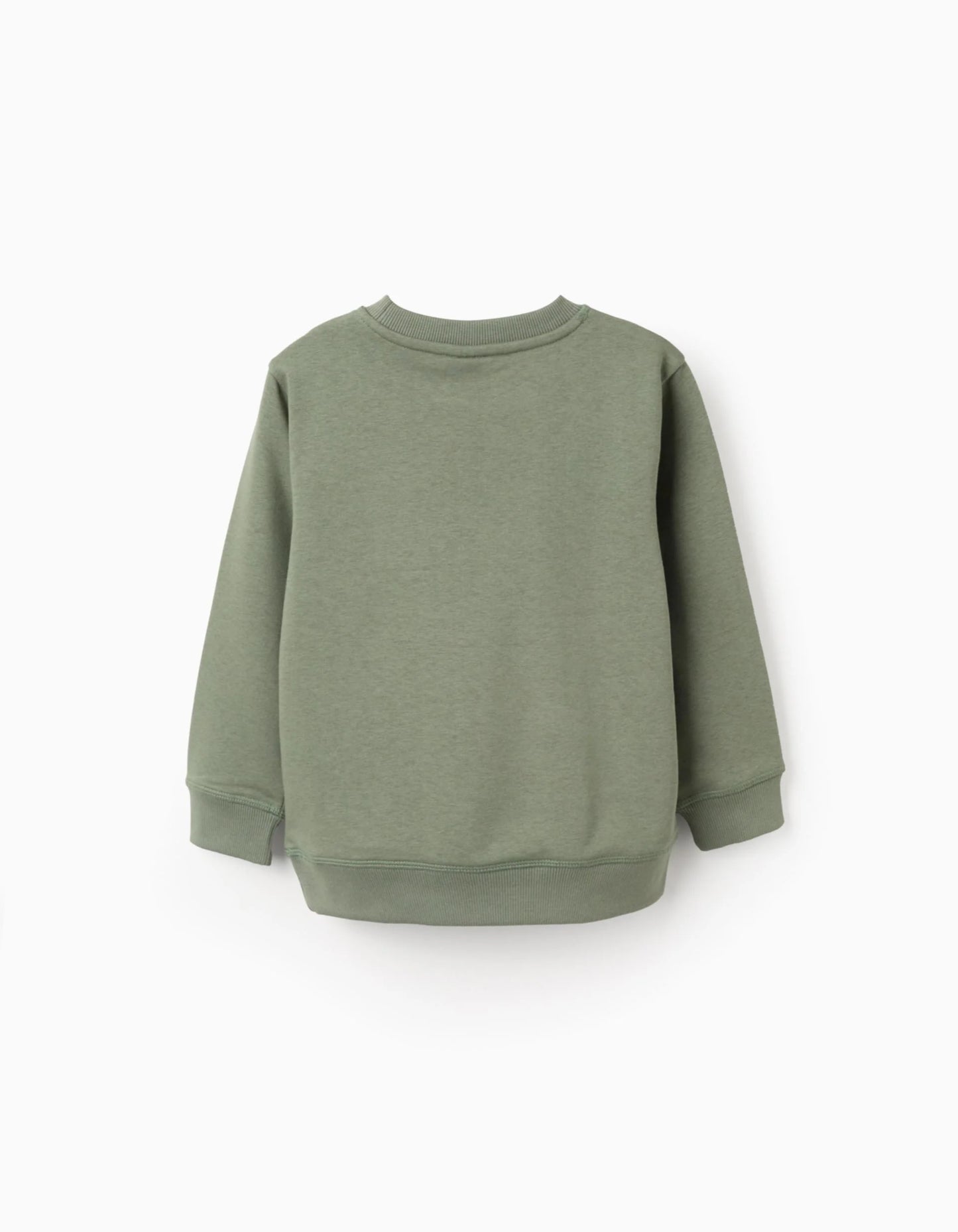 Sweatshirt with Chest Print for Boys 'ZY Archives', Green