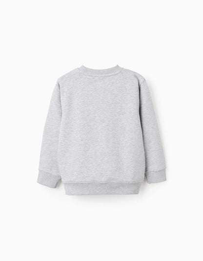 Sweatshirt with Chest Print for Boys 'ZY Archives', Mixed Grey