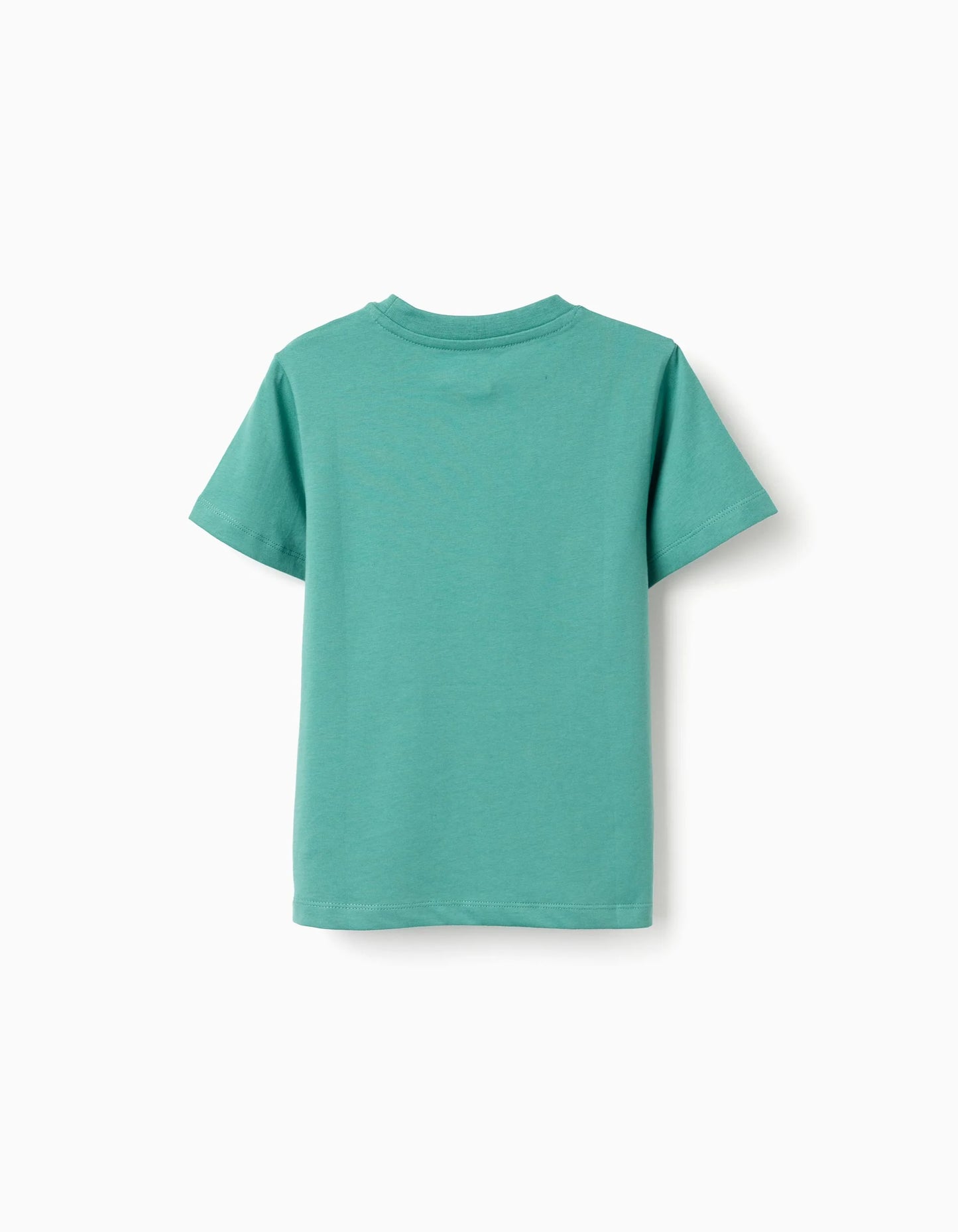 Cotton T-shirt with Just Colors print for boys, green