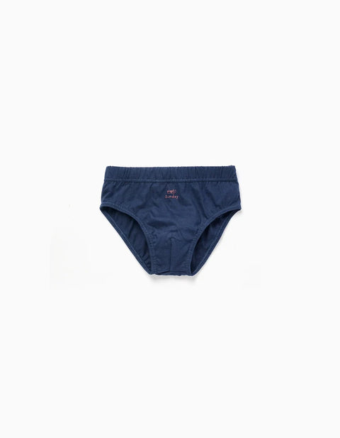 Pack of 7 Cotton Briefs with Weekdays Print for Boys, Blue/Grey