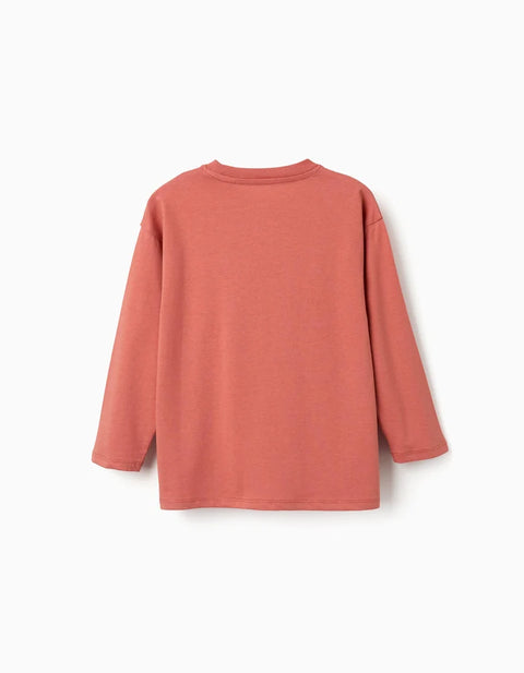 Long Sleeve Cotton T-Shirt with Creative Eye Print for Boys, Terracotta