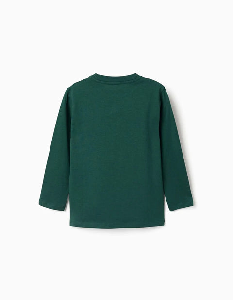 Long Sleeve Cotton T-Shirt with Clay Horse Print for Boys, Green