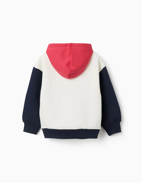 Brushed Hooded Sweatshirt with Print for Boys, White/Blue/Green/Red