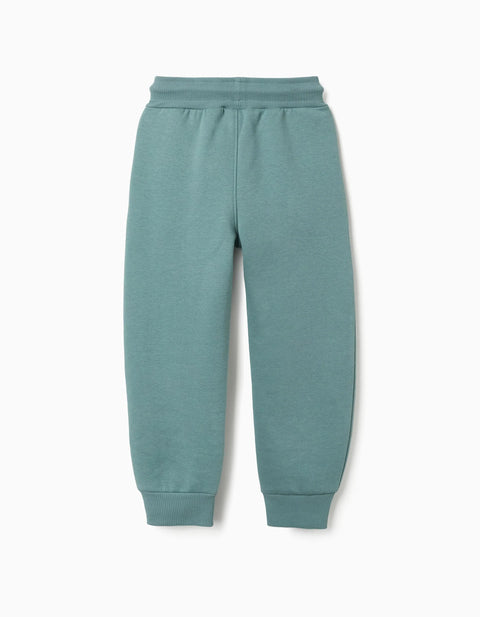 Slim Fit Brushed Joggers with Print for Boys, Blue-Green