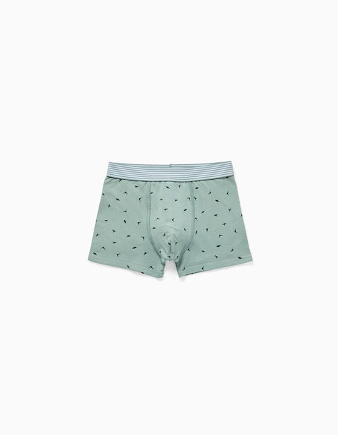 Pack of 4 Cotton Boxer Shorts with Dinosaur Prints for Boys, Multicolour